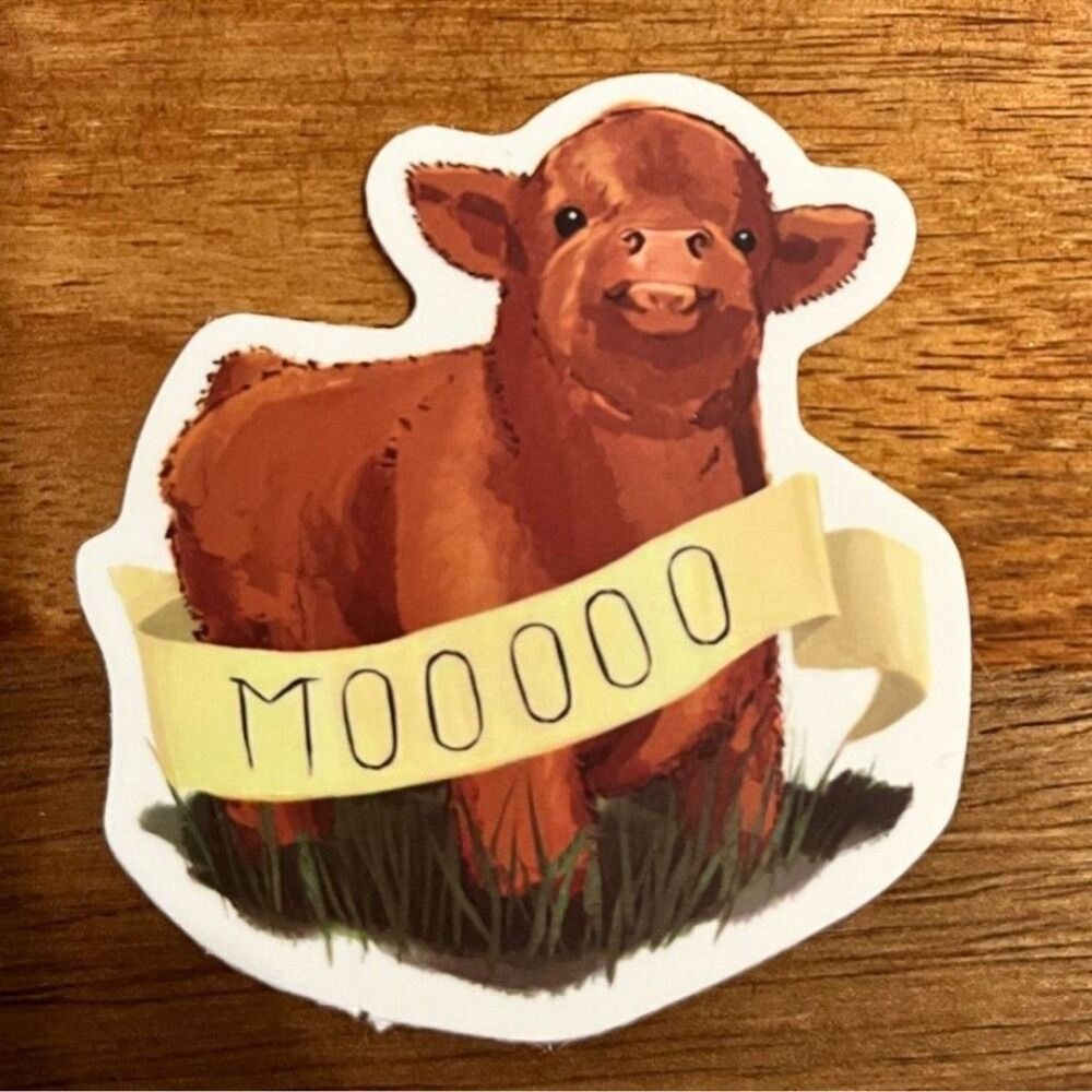 Scottish Highland Cows mooo